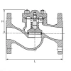 Cast iron spring loaded check valve | KP-5510